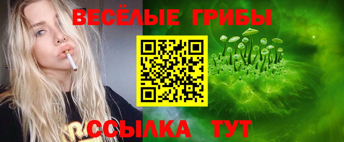 Псилоцибиновые грибы MAGIC MUSHROOMS Камышлов