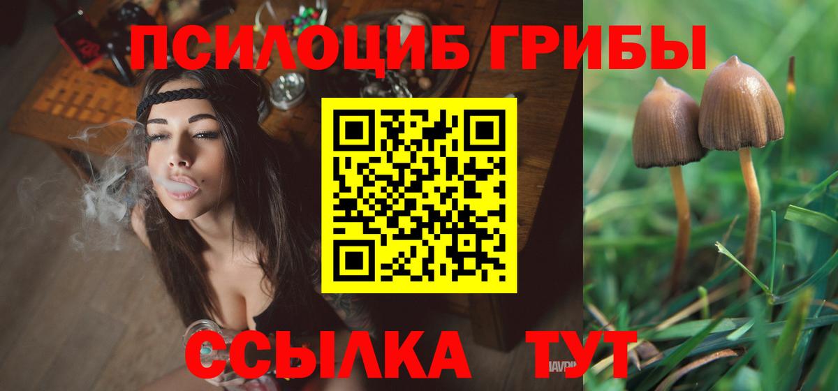 Галлюциногенные грибы мицелий  Галлюциногенные грибы Cubensis  купить наркотики цена  Камышлов  Вход с VPN 
