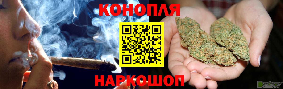 Каннабис OG Kush Камышлов
